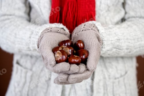 Preview: A Woman Holding A Handful Of Conkers
