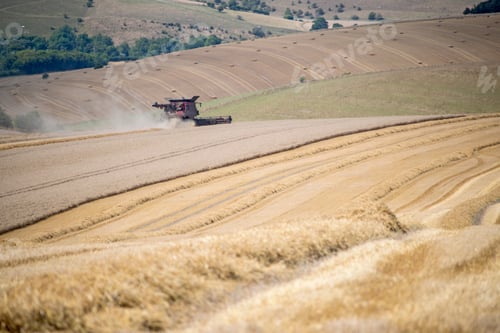 Preview: Harvest View Of Combine Harvester Cutting Summer Wheat Field Crop On Farm