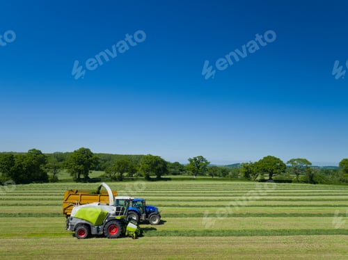 Preview: Aerial View Of Forage Harvester Cutting Grass Silage Crop In Field And Filling Tractor Trailer