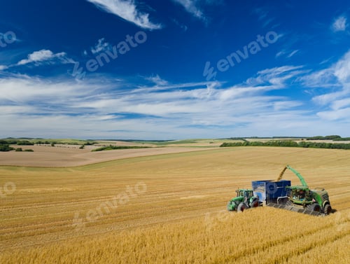 Preview: Aerial Shot Of Forage Harvesting Oats And Filling Trailer