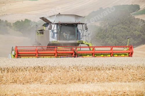 Preview: Harvest View Of Combine Harvester Cutting Summer Wheat Field Crop On Farm