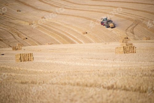 Preview: Tractor Baler Making Straw Bales In Fields After Summer Wheat Harvest On Farm
