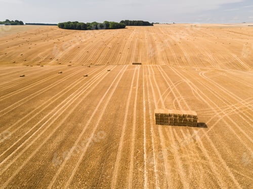 Preview: Aerial Landscape Of Harvested Summer Farm Wheat And Barley Fields And Straw Bales