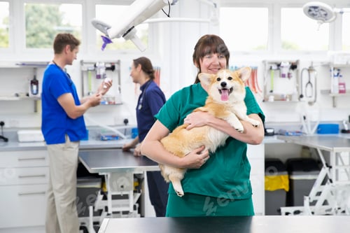 Preview: Vet Nurse Holding Pet Dog By Table In Vet Surgery Smiling At Camera