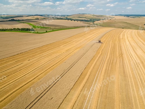 Preview: Harvest Aerial Landscape Of Combine Harvester Cutting Summer Wheat Field Crop On Farm