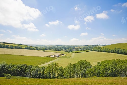 Preview: Farmland Landscape In Dorset, Uk