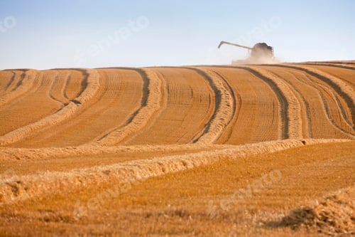 Preview: Wide Shot Of A Wheat Farm With A Combine Harvester At The Horizon.