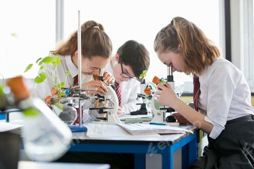 Preview: Medium Shot Of High School Students Making Notes While Conducting Scientific Experiment Using