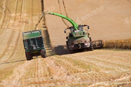 Preview: Forage Harvesting Oats And Filling Trailer In Field