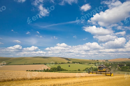 Preview: Combine Harvester Reaping Wheat At An Agricultural Field On A Cloudy Day.