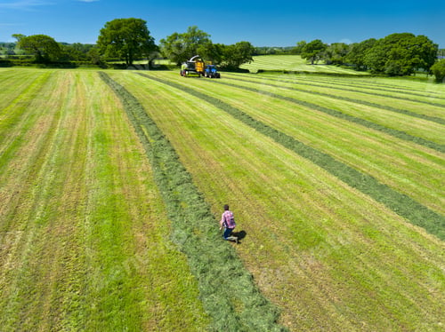 Preview: Aerial View Of Forage Harvester Cutting Grass Silage Crop In Field And Filling Tractor Trailer