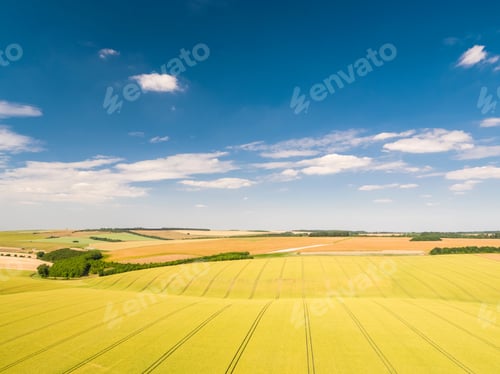 Preview: Aerial View Of Ripening Wheat Crop Fields On Farm Under Blue Sky And White Clouds On Farm