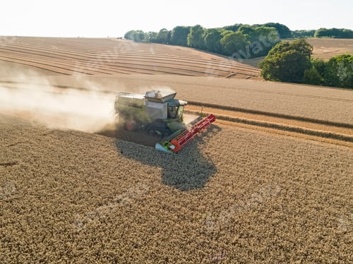 Preview: Harvest Aerial Combine Harvester And Summer Wheat Field Farm Crop