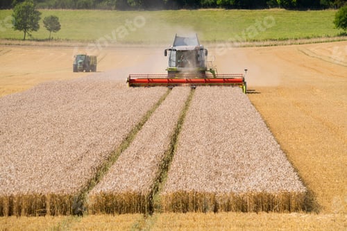 Preview: Combine Harvester Harvesting Wheat Crop In Field