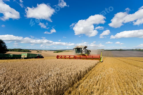 Preview: Combine Harvester Harvesting Field Of Wheat