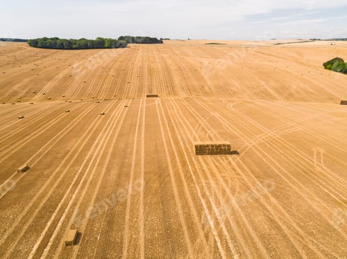 Preview: Aerial Landscape Of Harvested Summer Farm Wheat And Barley Fields And Straw Bales