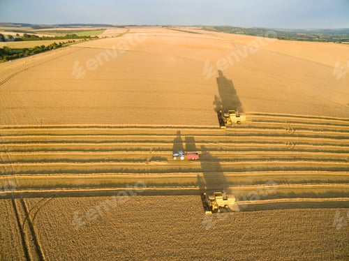 Preview: Aerial View Of A Combine Harvesters And Tractor Trailer In A Sunny Barley Field