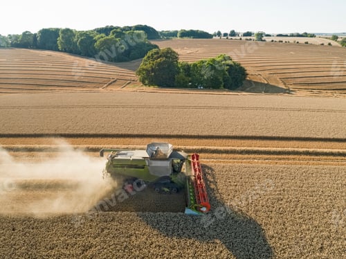 Preview: Harvest Aerial Combine Harvester And Summer Wheat Field Farm Crop