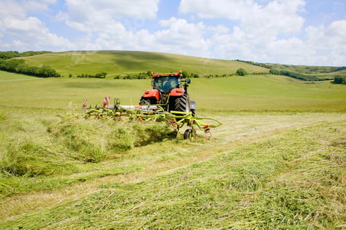 Preview: Wide Shot Of A Tractor Turning Cut Grass To Dry For Hay