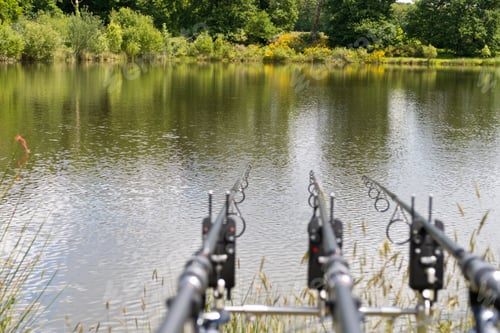 Preview: Carp Fishing Rods With Bite Alarms At A Sunny Lakeside