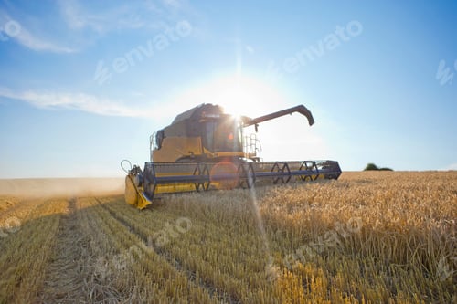 Preview: Combine Harvester Running Through A Rural Field And Harvesting Wheat On A Sunny Day.