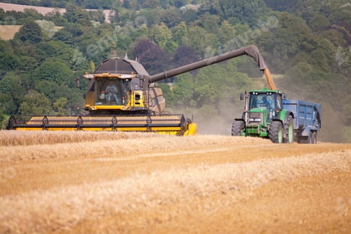 Preview: Wide Shot Of A Combine Harvester Reaping Wheat Into A Trailer Attached To A Tractor At A Rural