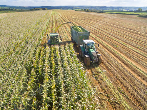 Preview: Close Front Shot Of Tractor Filling Trailer With Harvested Maize In A Sunny Field