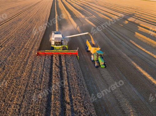 Preview: Aerial View Of Combine Harvester Harvesting Wheat Crop