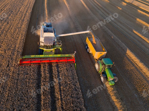 Preview: Aerial View Of Combine Harvester Harvesting Wheat Crop