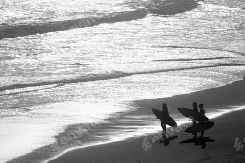 Preview: Group Of Surfers Carrying Surf Boards Standing At The Shore Of A Beach And Looking At The Sea.