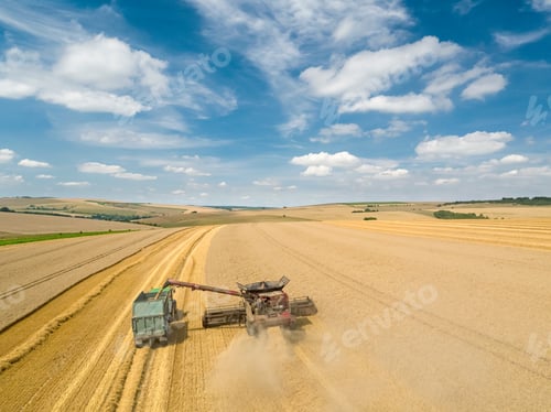 Preview: Harvest Aerial Overhead Of Combine Harvester Cutting Summer Wheat Field Crop On Farm