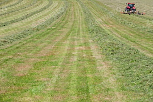 Preview: Shot Of A Vast Field Being Chopped By The Tractor