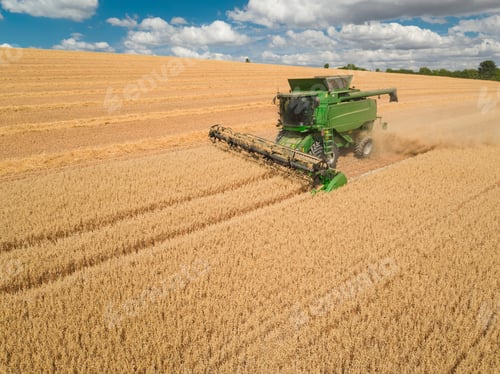Preview: Harvest Aerial Of Combine Harvester Cutting Summer Oats Field Crop On Farm