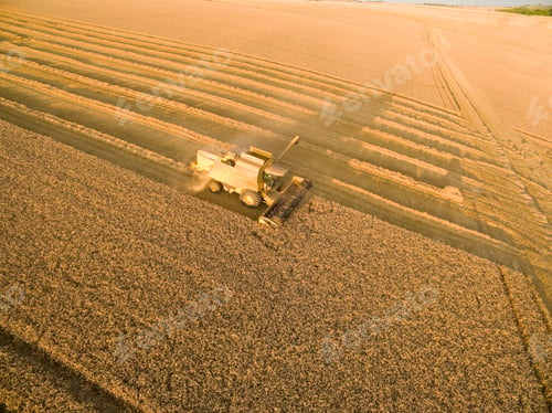 Preview: Aerial View Of Combine Harvester In Golden Barley Field