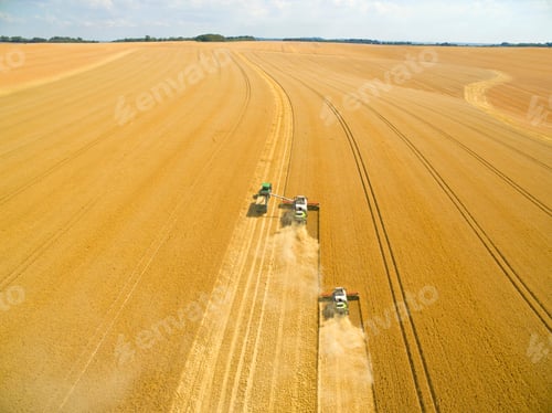 Preview: Aerial View Of Combine Harvesters In A Sunny Golden Barley Field