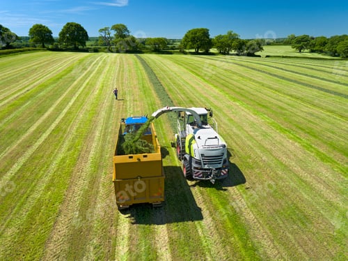 Preview: Aerial View Of Forage Harvester Cutting Grass Silage Crop In Field And Filling Tractor Trailer