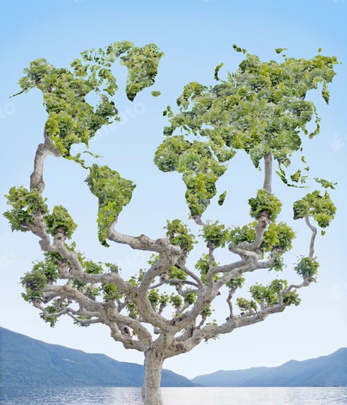 Preview: Tree With Leaves Forming Shapes Of Continents Of The World