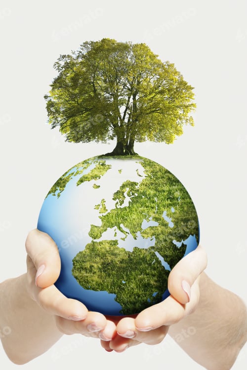 Preview: Environmental Concept As Hands Hold Globe With Growing Tree