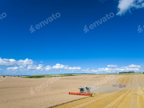 Preview: Aerial View Of Combine Harvester Harvesting Wheat Crop
