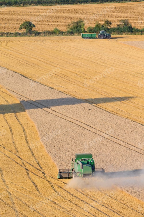 Preview: Combine Harvester, Harvesting Wheat In Rural Field