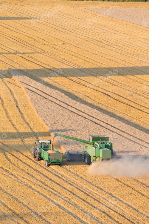 Preview: Vertical Top Angle Shot Of A Combine Harvester Harvesting Wheat Into The Trailer In A Rural Field