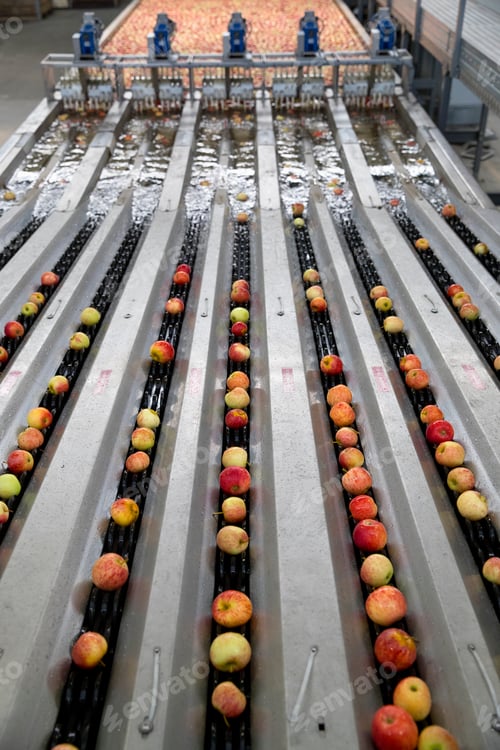 Preview: Apples Being Washed And Graded In Fruit Processing Plant