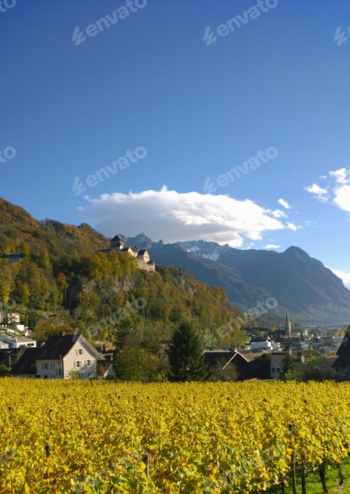 Preview: Vaduz Castle In Liechtenstein With Vineyards In Foreground