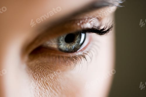 Preview: Detail Of Woman'S Face Showing Left Eye