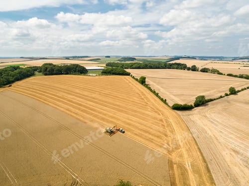 Preview: Harvest Aerial Landscape Of Combine Harvester Cutting Summer Wheat Field Crop With Tractor Trailer
