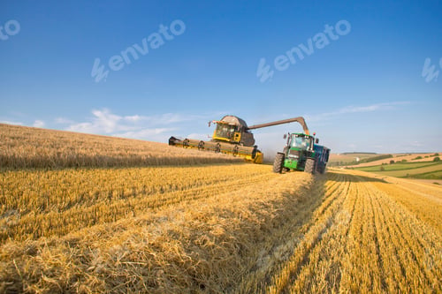 Preview: Wide Shot Of A Combine Harvester And A Tractor Harvesting Wheat At A Rural Field.