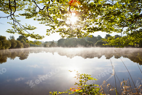 Preview: Sun Shining Over A Tranquil Lake Surrounded By Trees