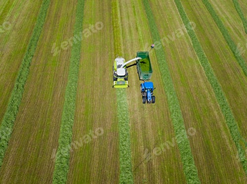 Preview: Aerial View Of Forage Harvester Cutting Grass Silage Crop In Field And Filling Tractor Trailer