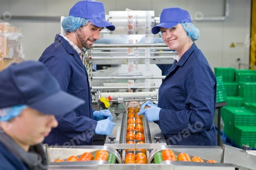 Preview: Portrait Smiling Quality Control Worker Inspecting Tomatoes On Production Line In A Food Processing