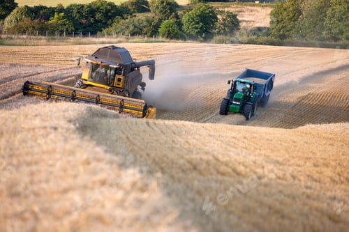 Preview: Combine Harvester Reaping Wheat At A Rural Field Alongside A Tractor.